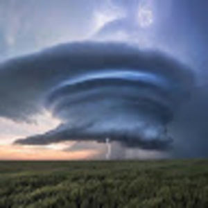 Meet your Posher, Devin